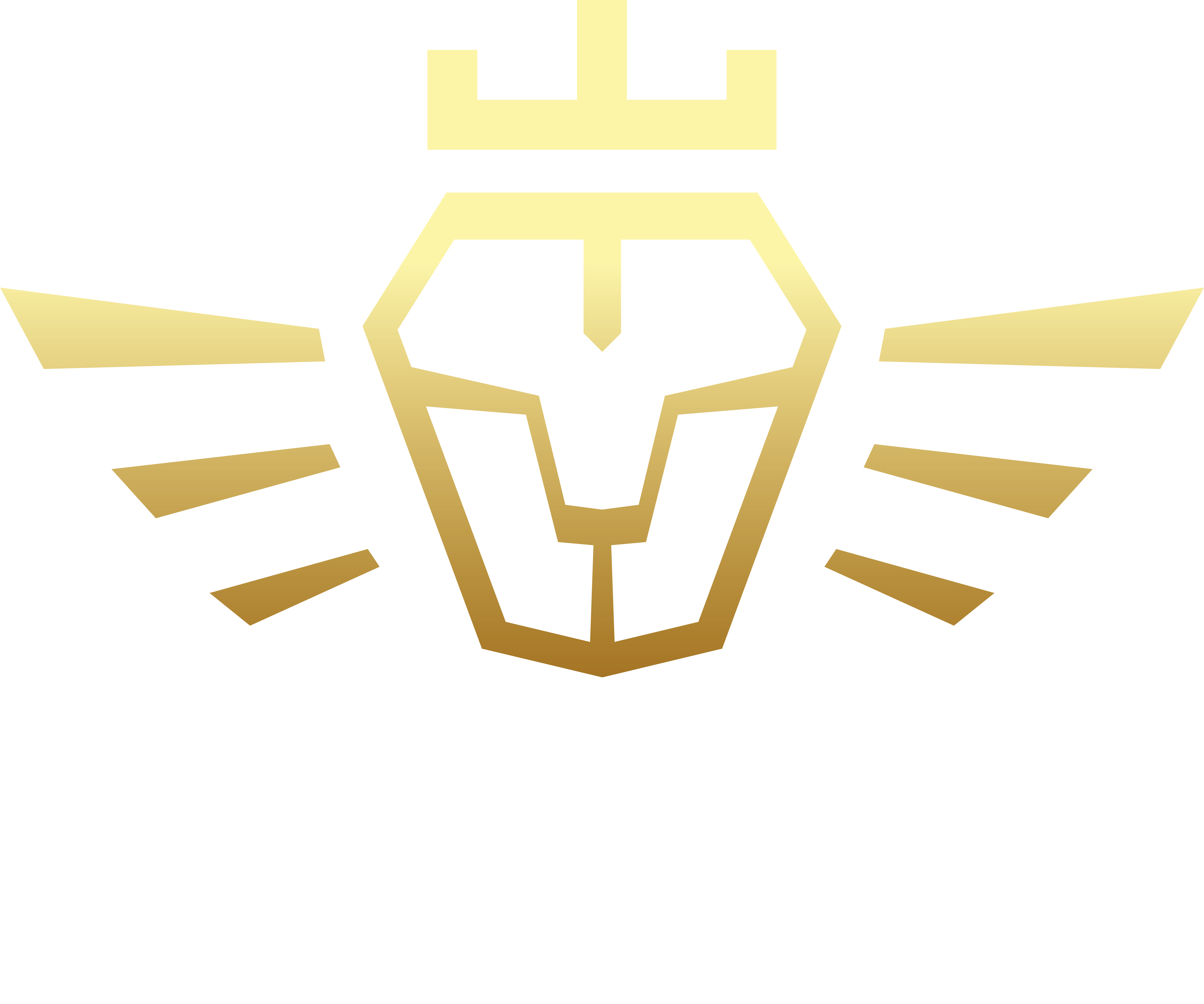 LionsMatrix